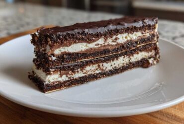 A rich slice of Lazy Cat Cake showing layers of dark chocolate crumb, white cream, and chocolate ganache topping.
